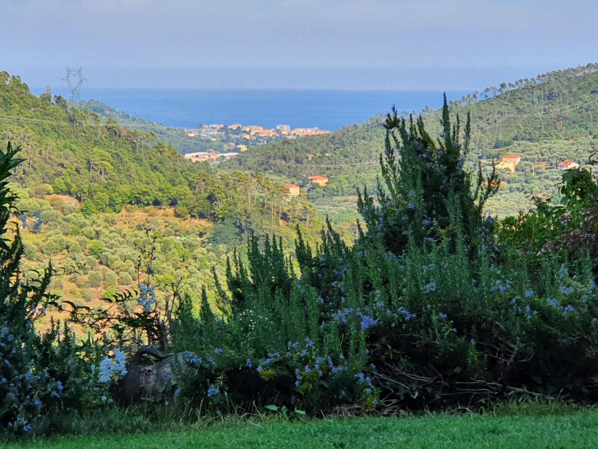 Villa Claudia Quiliano Kültér fotó